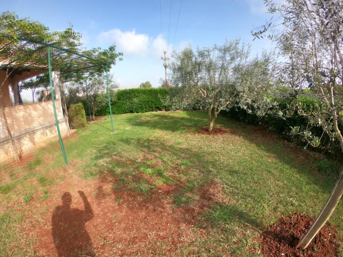 Marčana Spacious Apartment With Parking&Garden מראה חיצוני תמונה